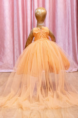 Peach Swan Theme Detachable Trail Tulle Frock