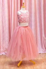 Blush Pink Embroidered Crop Top And SKirt