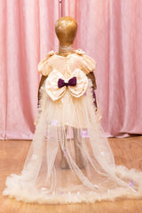 Off White and Wine Sequins Dress