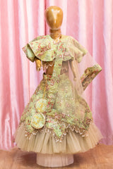 Embellished Sage Green Cape Style Lehenga Choli