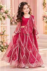 Maroon Heavy Embroidered Lehenga Choli