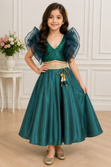 Satin and Embroidered Net Top Skirt